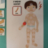 Пособие PECS "Мой день" Пособие PECS